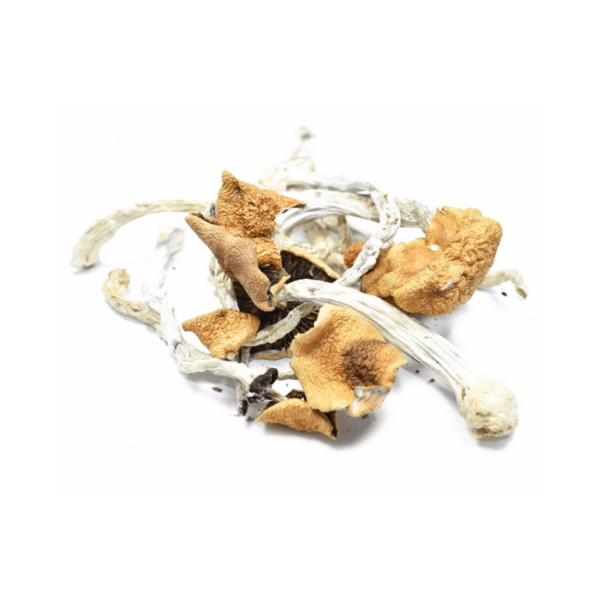 Best-B-Magic-Mushrooms-768x768-1 B plus Magic Mushrooms