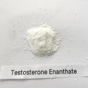 Testosterone Enanthate Buy Testosterone Enanthate